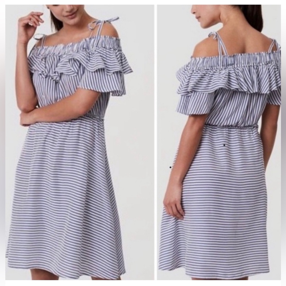Ann Taylor LOFT Striped Blue and White Dress